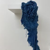 Sofía Fernández Díaz